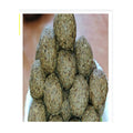 Jay'z Sweets Palate Avisala Laddu | Grab2Buy