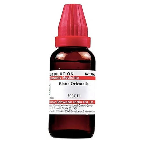 Dr. Willmar Schwabe India Blatta Orientalis Dilution | Grab2Buy