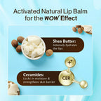 WOW Skin Science Shea Butter Nourishing Lip Balm SPF 30 with Ceramides | Grab2Buy