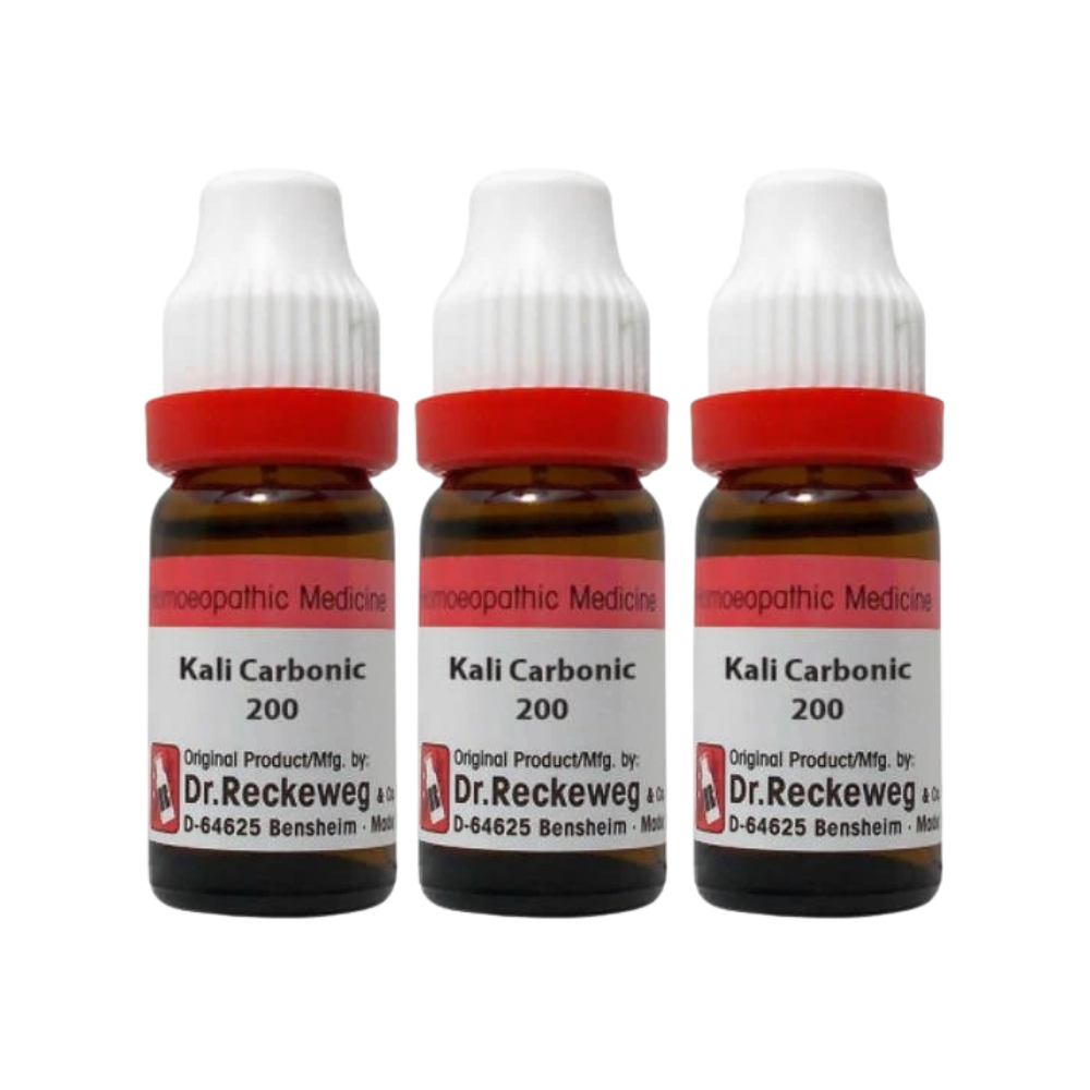 Dr. Reckeweg Kali Carbonic Dilution | Grab2Buy