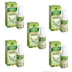 Dwibhashi Eucalyptus Oil (Tailaparna Tailam) | Grab2Buy