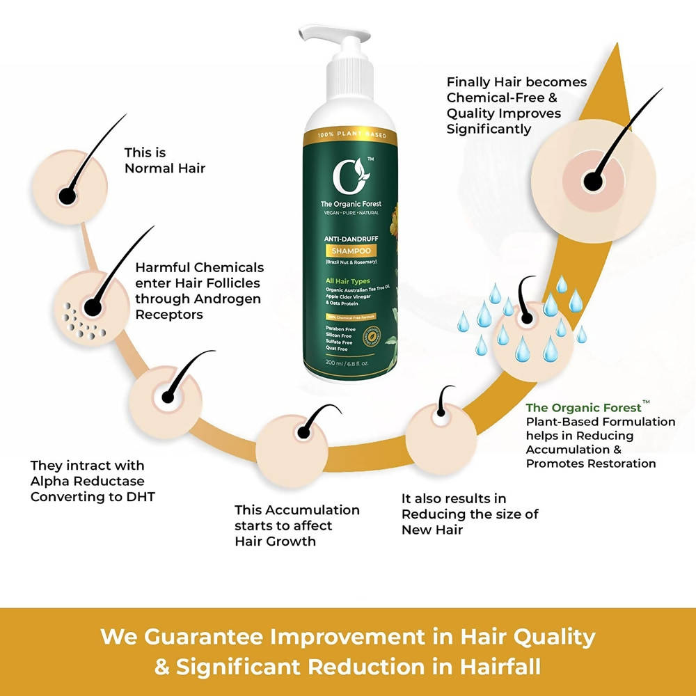 The Organic Forest Anti-Dandruff Shampoo | Grab2Buy