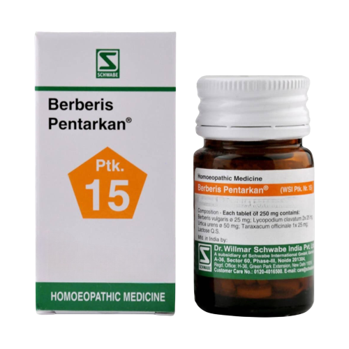Dr. Willmar Schwabe India Berberis Pentarkan Tablets | Grab2Buy