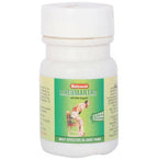 Baidyanath Jhansi Rheumartho With Salai Guggulu