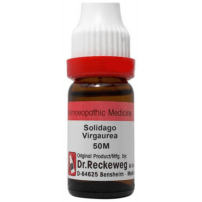 Dr. Reckeweg Solidago Virgaurea Dilution | Grab2Buy