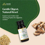 Kerala Ayurveda USA Gandharvahasthadi Castor Oil