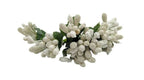 White Pollens | Grab2Buy
