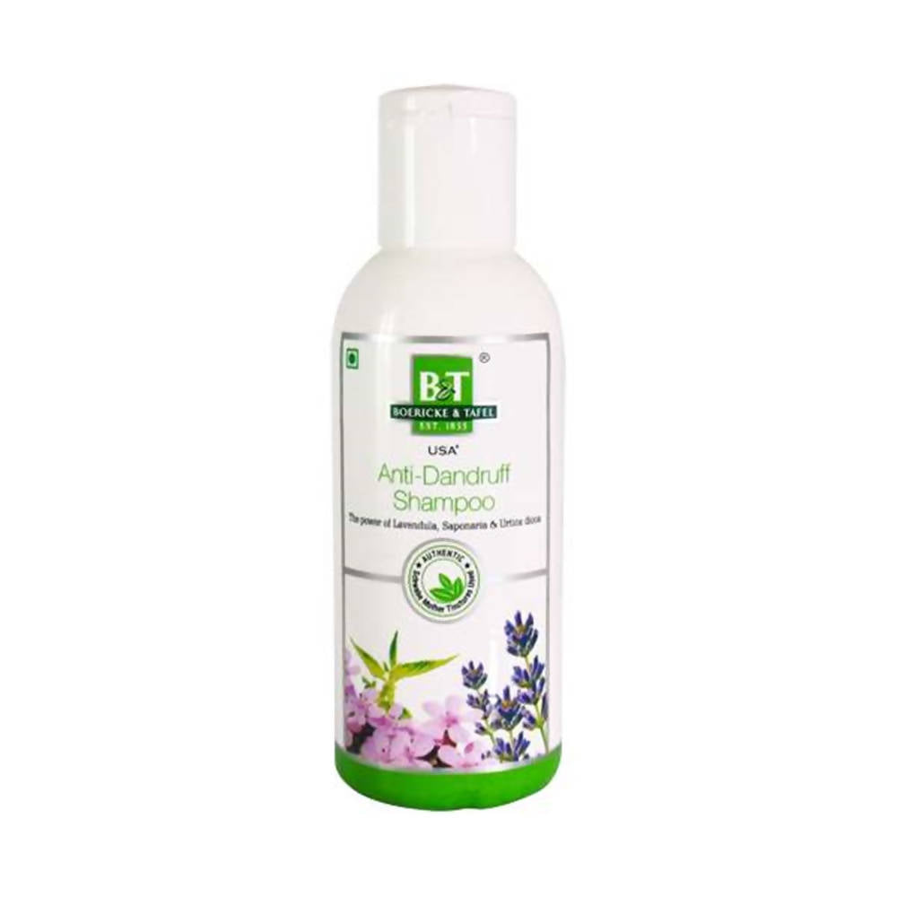 Boericke & Tafel Anti- Dandruff Shampoo | Grab2Buy