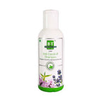 Boericke & Tafel Anti- Dandruff Shampoo | Grab2Buy