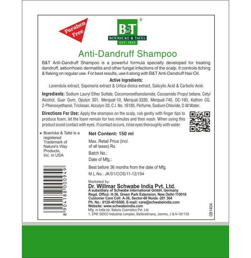 Boericke & Tafel Anti- Dandruff Shampoo | Grab2Buy