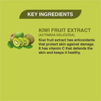Khadi Veda Kiwi Magic Lip Balm | Grab2Buy