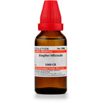 Dr. Willmar Schwabe India Zingiber Officinale Dilution | Grab2Buy