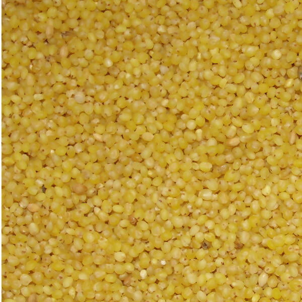 Freshon Foxtail Millets Organic - Unpolished | Grab2Buy