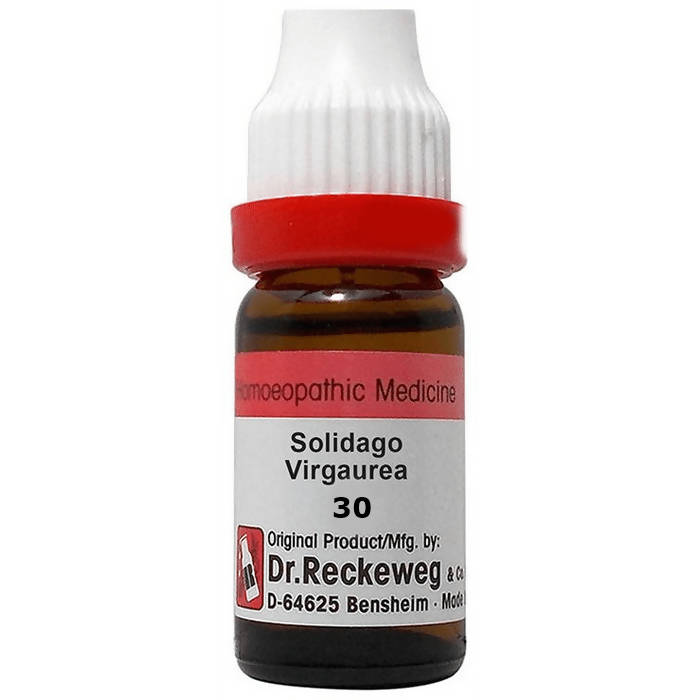 Dr. Reckeweg Solidago Virgaurea Dilution | Grab2Buy