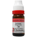 Dr. Reckeweg Solidago Virgaurea Dilution | Grab2Buy