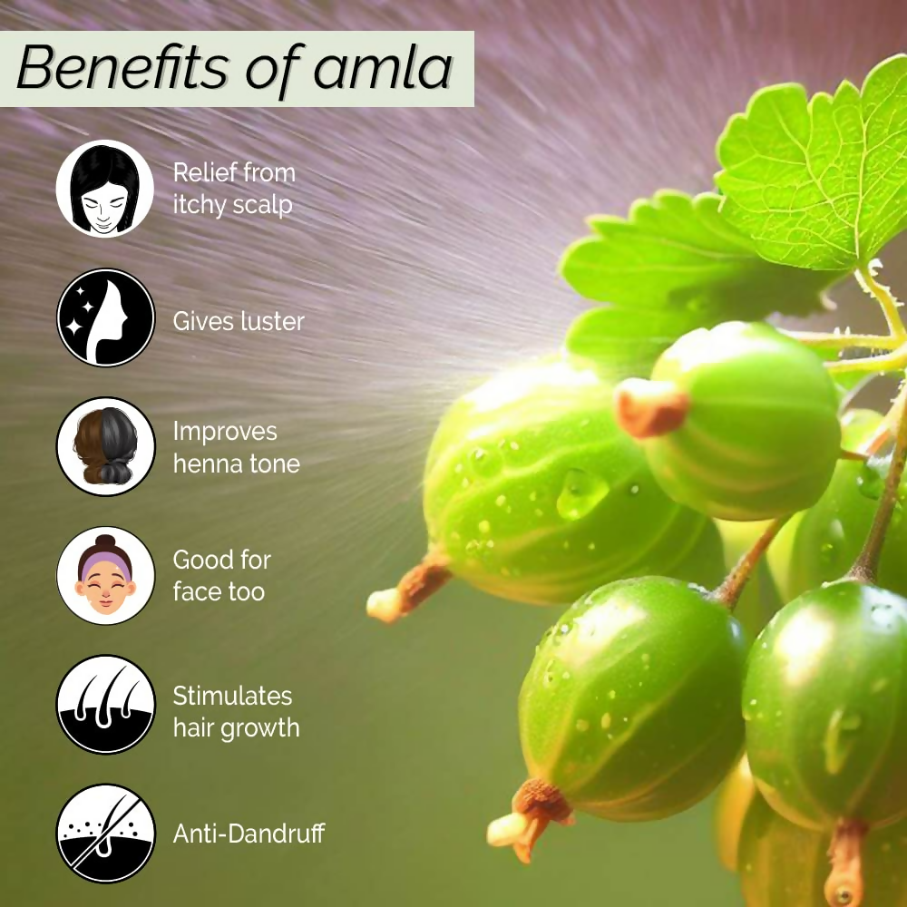 Pyoura Itchy Scalp Hair Growth Amla Hair Spray Serum Mist | Grab2Buy