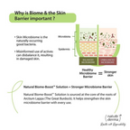 Nature Derma 1% Natural Biome-Boost Moisturizer With CICA | Grab2Buy