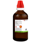 Bjain Homeopathy Carica Papaya Mother Tincture Q