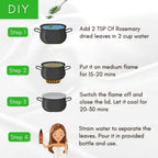 Mystiq Living Dried Rosemary Leaves for Hair Growth | Grab2Buy