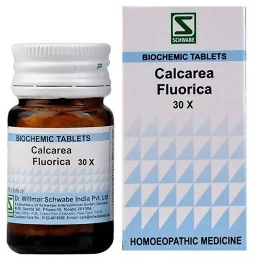 Dr. Willmar Schwabe India Calcarea Fluorica Biochemic Tablets | Grab2Buy