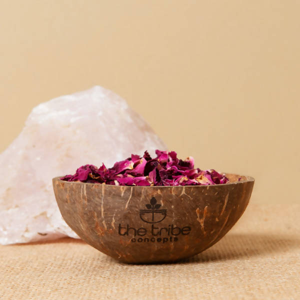 The Tribe Concepts Coconut Bowl | Grab2Buy