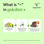 Vedistry Gokshur Tablets