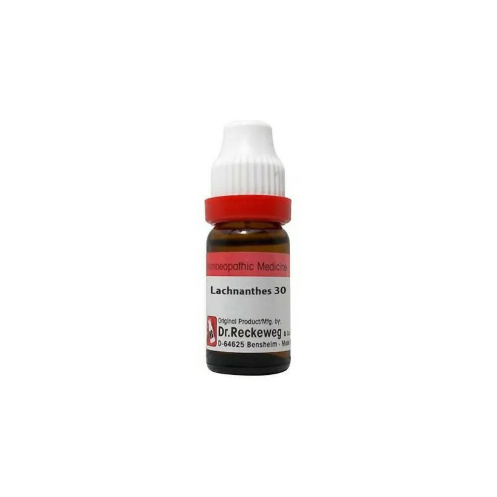 Dr. Reckeweg Lachnanthes Dilution | Grab2Buy