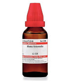 Dr. Willmar Schwabe India Blatta Orientalis Dilution | Grab2Buy