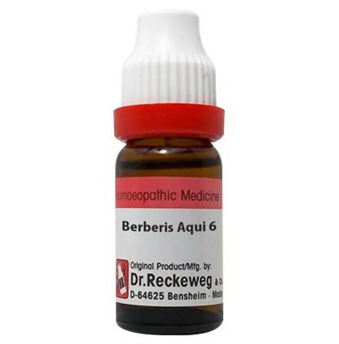 Dr. Reckeweg Berberis Aqui Dilution | Grab2Buy