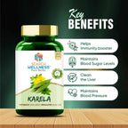 Search Wellness Karela Capsules