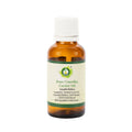 R V Essential Pure Camellia Carrier Oil | Grab2Buy