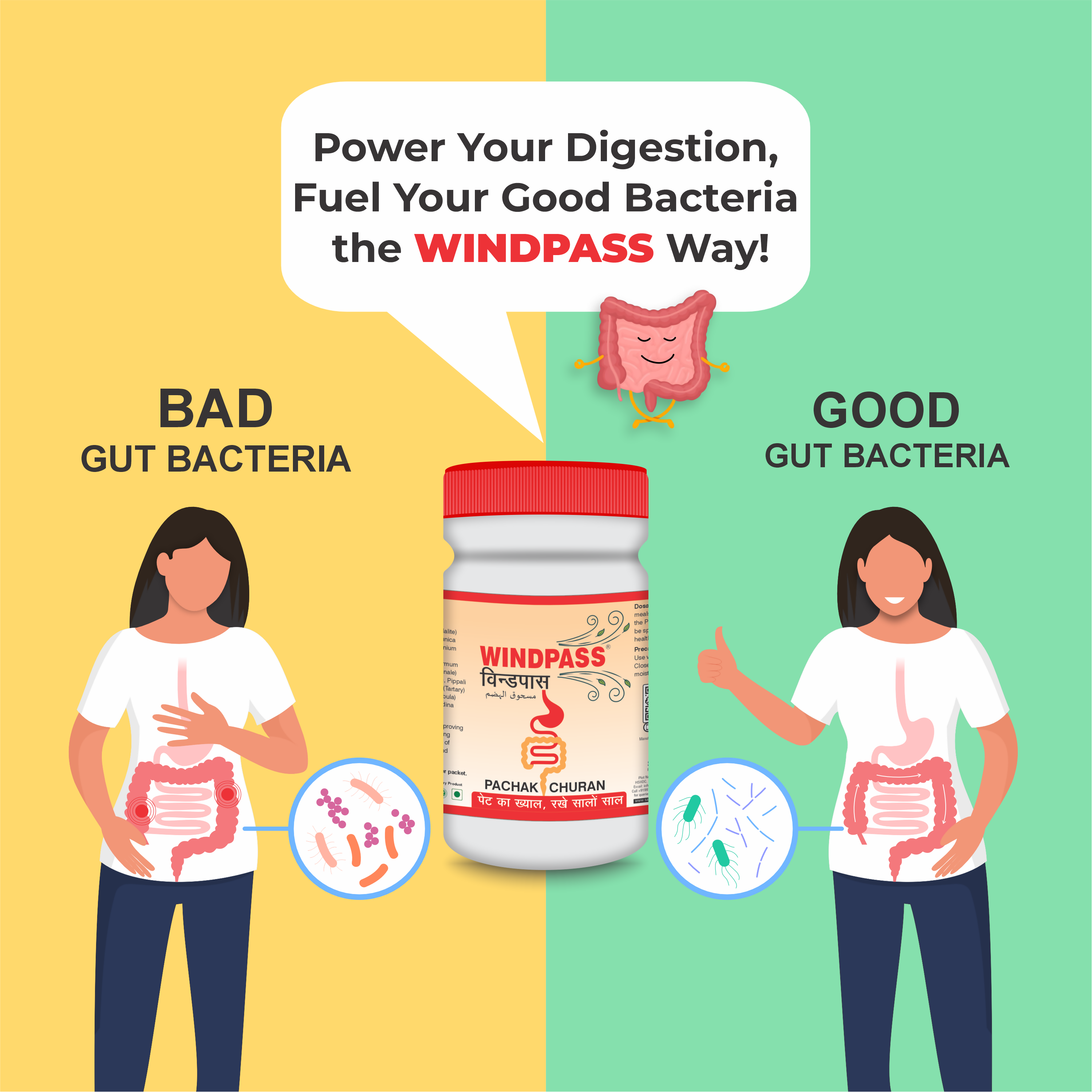 Satya Pharmaceuticals Ayurveda Windpass Pachak Churan | Grab2Buy