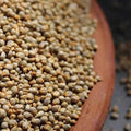 Freshon Pearl Millet - Natural