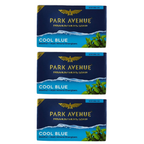 Park Avenue Premium Men's Soap - Cool Blue | Grab2Buy