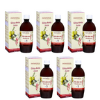Patanjali Giloy Amla Juice | Grab2Buy