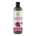 Petal Fresh Pure Color Protection Pomegranate & Acai Conditioner | Grab2Buy