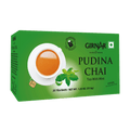 Girnar Black Tea Bags - Pudina | Grab2Buy