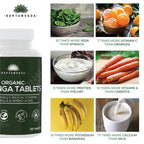 Saptamveda Natural Moringa Tablets | Grab2Buy