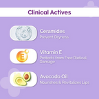 The Derma Co 1% Ceramide Complex Lip Balm With Ceramides & Vitamin E | Grab2Buy