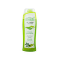 Dhathri Dheedhi Anti-Dandruff Hair Shampoo To Reduce Dandruff & Itchiness | Grab2Buy