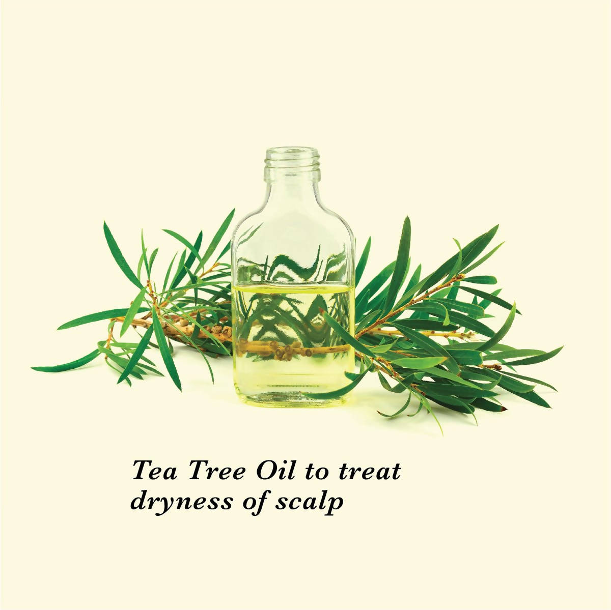 True Frog Dandruff Care Bundle | Grab2Buy