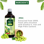 Dabur Amla Juice Immunity Booster | Grab2Buy