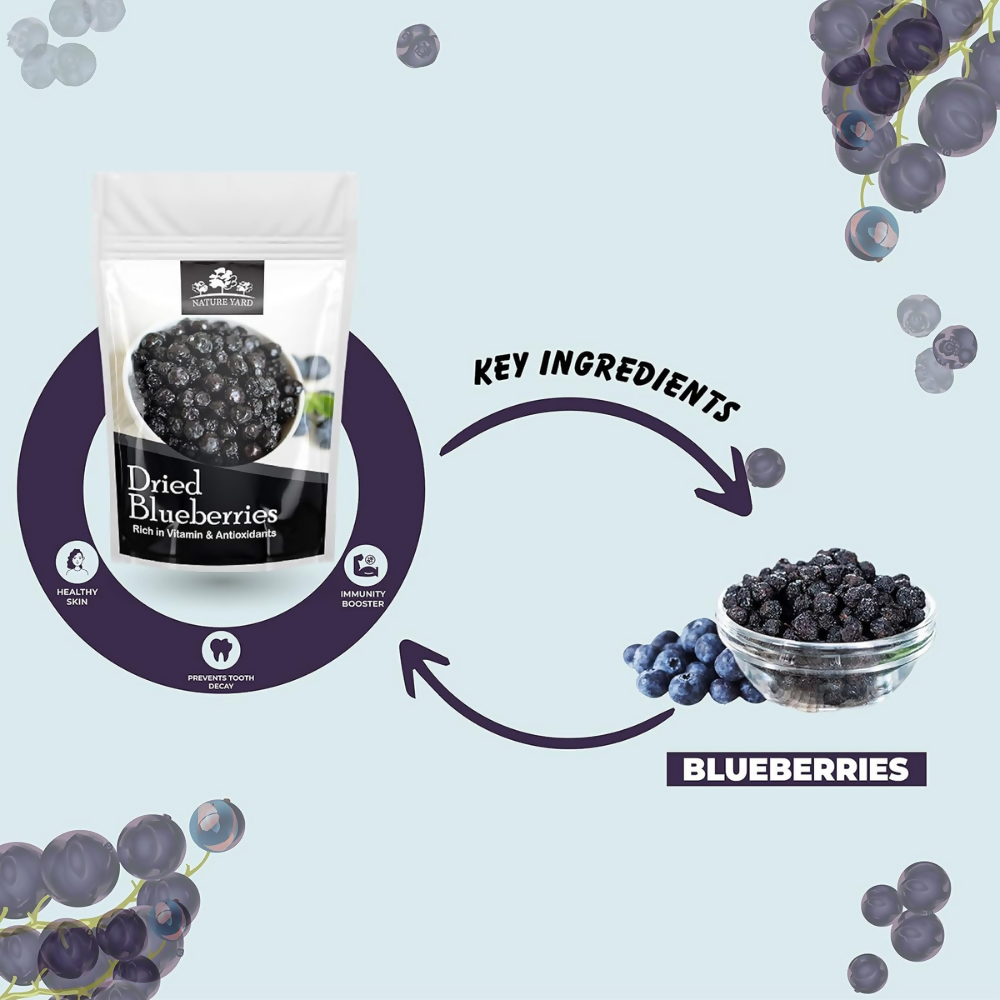 Nature Yard Blueberry Dried Without Sugar | Grab2Buy