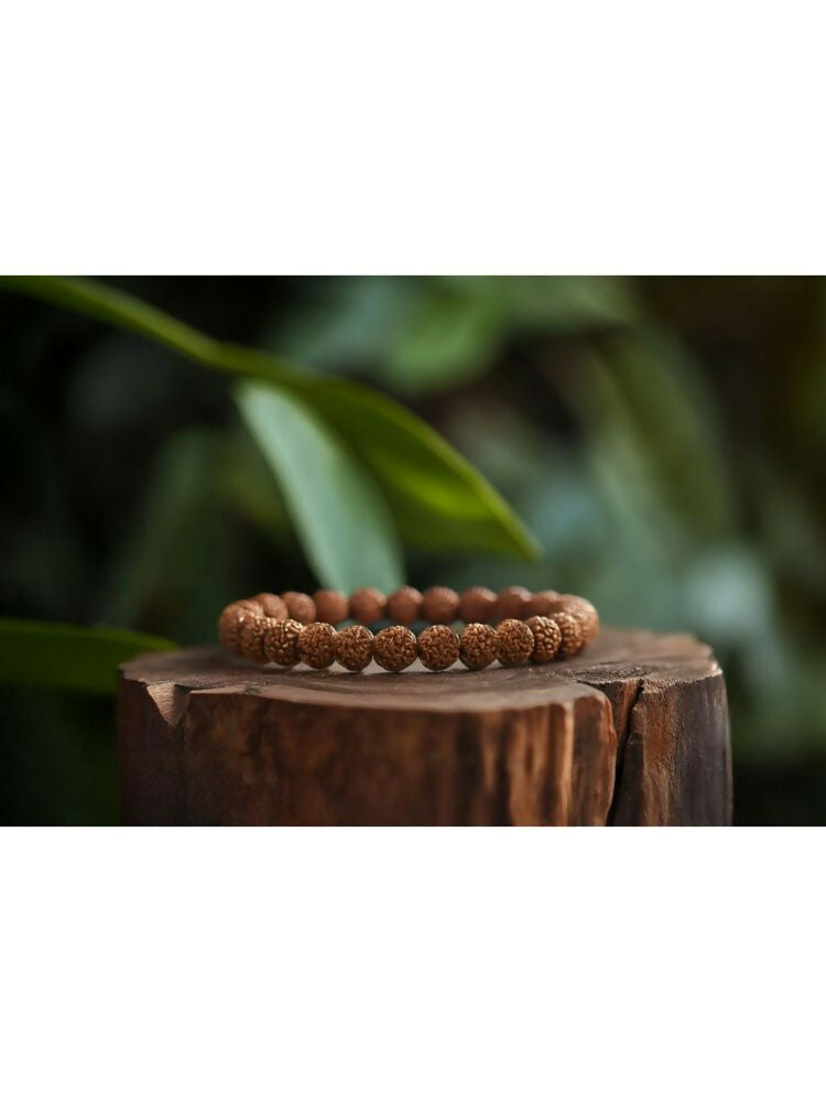 NVR 5 Mukhi Rudraksha Stretchable Bracelet | Grab2Buy
