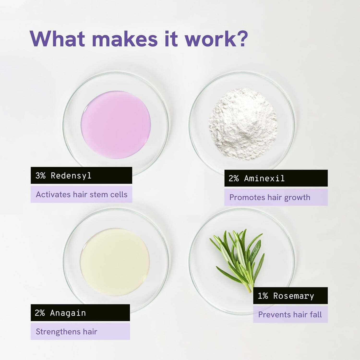 BeBodywise Rosemary Hair Growth Serum (Roll On) | Grab2Buy