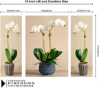Tehzeeb Creations Set Of 3 Digital Wall Painting | Grab2Buy