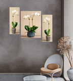Tehzeeb Creations Set Of 3 Digital Wall Painting | Grab2Buy