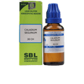 SBL Homeopathy Caladium Seguinum Dilution | Grab2Buy
