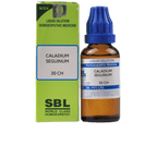 SBL Homeopathy Caladium Seguinum Dilution | Grab2Buy