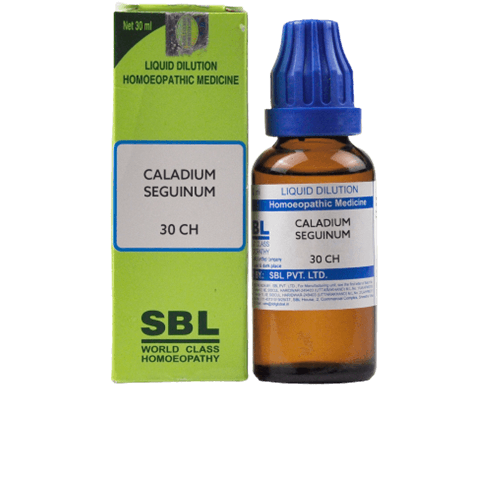 SBL Homeopathy Caladium Seguinum Dilution | Grab2Buy
